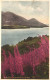 BASSENTHWAITE, CUMBERLAND, SKIDDAW, MOUNTAIN, ENGLAND, UNITED KINGDOM, POSTCARD - Sonstige & Ohne Zuordnung