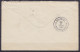 Afrique Du Sud - L. Affr. 3d Flam. (lion) JOHANNESBURG /JAN 2 1924 Pour Et Taxée 20c à BRUXELLES Via Southampton - Storia Postale