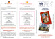 Delcampe - Vaticano 2011 Bollettini Ufficiali 11 Pz. Dal 21/06/2011 Al 6/12/2011 - Covers & Documents