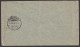 New South Wales - Baden SG281 On 1896 Printed Cover - Brieven En Documenten