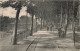 BELGIQUE - Exposition Universelle De Liège 1905 - Vue Sur La Promenade Du Quai Mativa - Animé  - Carte Postale Ancienne - Liege