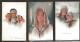 3 CPA  Fantaisie Femmes -  - Painted By Philip Boileau - Reinthal And Newman - Boileau, Philip