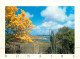 BONAIRE . DUTCH CARIBBEAN . Flowering Kibrahacha Overlooking Goto Lake - Bonaire