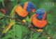 Parrots, Birds, Belarus, 100 X 70 Mm - Tamaño Pequeño : 2001-...