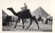 26222 " PIRAMIDE E CAMMELLI "ANIMATA -VERA FOTO-CART.NON SPED. - Gizeh