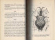 Delcampe - Lecciones De Anatomía Topográfica. 6 Tomos En 2 Volúmenes - Julián De La Villa - Gezondheid En Schoonheid