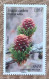 Saint Pierre Et Miquelon - YT N°994 - Beautés Cachées / Flore / Fleurs De Mélèze - 2011 - Neuf - Unused Stamps