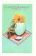 USSR 1978 CONGRATULATIONS FOR A NEWBORN ! CHICK PACIFIER EGGSHELL PLANETA POKLAD UNUSED POSTCARD SOVIET UNION - Birth