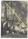 LUXEMBOURG PETITE SUISSE HALLERBACH PEINTRE   CARTE GRAND FORMAT  BERNHOEFT N° 25 - Muellerthal