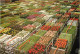 Pays-Bas - Nederland - Aalsmeer - World Flower Center - CPM - Voir Scans Recto-Verso - Aalsmeer