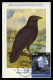 GREENLAND (2023) Carte Maximum Card - ESA Astronaut Andreas Mogensen To ISS, Corvus Corax, Grand Corbeau, Common Raven - Cartes-Maximum (CM)