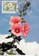Delcampe - Autriche Lot De 7 Fleurs Flowers  Maximum Card CM - Cartes-Maximum (CM)
