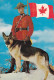 A24314 - ROYAL CANADIAN  MOUNTED POLICE  POLICEMAN WITH DOG   POSTCARD UNUSED - Police - Gendarmerie