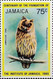 Jamaica 1980 MiNr. 486 Jamaika Birds Endemic Jamaican Owl  1v  MNH** 1.50 € - Jamaica (1962-...)