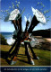 3-3-2024 (2 Y 1) Australia - QLD - Sunshine Coast Art By Carlos Sanchez - Sunshine Coast