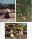 06 - Folklore De CANNES Et La COTE D'AZUR -  Lot De 7 Cartes Postales - Costumes Folkloriques - (R011) - Sammlungen & Sammellose