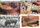 Lot N° 183 De 26 Cartes De Tauromachie - Corridas Et Courses De Taureaux - Toréadors Et Arènes - 5 - 99 Postcards