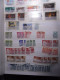 Delcampe - Collection De Timbres Russie - URSS Dans 2 Classeurs Neuf **, Oblitéré, Selon Scans - Colecciones (en álbumes)