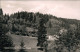 Ansichtskarte Schellerhau-Altenberg (Erzgebirge) Schellermühle 1962 - Schellerhau