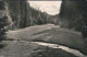 Ansichtskarte Tambach-Dietharz Apfelstädter Grund 1960 - Tambach-Dietharz