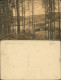 Ansichtskarte Paulinzella-Stadtilm Rottenbachtal 1918 - Stadtilm