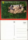Ansichtskarte Waldeck (am Edersee) Schloss Waldeck 1980 - Waldeck