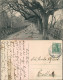 Ansichtskarte Mühlhausen (Thüringen) Am Hohengraben 1908 - Muehlhausen