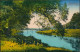 Ansichtskarte Elsterwerda Wikow Brücke - Partie An Der Elkster 1913 - Elsterwerda
