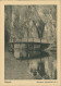 Spandau-Berlin Spandauer Volksblatt Heimatbild Nr. 6 Südpark 1958 - Spandau