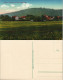 Ansichtskarte Collm-Wermsdorf Ort Mit Collmberg 1913 - Wermsdorf