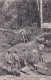 485417Suriname, Goudwasschen Met De Longtom Op Het Placer ''Dien Mersi'' Rond 1900.   - Surinam