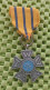 Medaille - Het Nederlandse  Avondvierdaagse N.W.B.-  Original Foto  !!  Medallion  Dutch - Autres & Non Classés