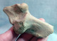 #LOT 05 - Larges Bone Partial HUMERUS Of EQUUS Fossil Pleistocene (Italy) - Fossilien