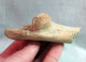 #LOT 05 - Larges Bone Partial HUMERUS Of EQUUS Fossil Pleistocene (Italy) - Fossils