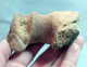 #LOT 08 - Teilweiser HUMERUS Aus Dem Größten Knochen Von PFERD Fossil Pleistozän (Italien) - Fossielen