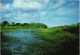 Irrigatiekanaal Te Totness Irrigation Canal "Totness" District Suriname 1970 - Surinam