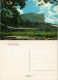 Paramaribo Rijst Silo Te Wageningen Rice Silo Reis-Silo Suriname 1970 - Surinam