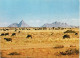 Postcard .Namibia Spitzkoppe, Namib S.W.A Namibia Tier Herde 1970 - Namibië