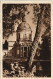 Ansichtskarte Schwetzingen Schlossgarten 1935 - Schwetzingen