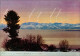 Höchenschwand Blick Auf Die Schweizer Alpenkette Panorama-Ansicht 1960 - Höchenschwand