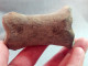 #LOT 28 Große Knochen PHALANX PROXIMALE Von EQUUS Fossile Pleistozän (Italien) - Fossiles