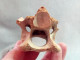 #LOT 31 Große Knochen HALSWIRBEL Von EQUUS Fossile Pleistozän (Italien) - Fossiles