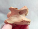 #LOT 31 Große Knochen HALSWIRBEL Von EQUUS Fossile Pleistozän (Italien) - Fossiles