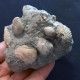 #SM46 GIBBULA, CERITHIUM, TEGULA, ANADARA Fossile, Pliocène (Italie) - Fossiles