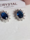 Delcampe - Boucle D'oreille Bleu - Boucles D'oreilles