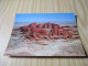 Australie - Aerial View Of The Olgas Group. - Uluru & The Olgas