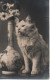 GOOD WELLESLEY CALCUTTA INDIA POSTMARK - ON REAL PHOTOGRAPHIC POSTCARD OF A CAT - Postcards