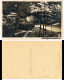 Kirnitzschtal-Sebnitz Kuhstall Sächsische Schweiz 1932 Walter Hahn:3131 - Kirnitzschtal