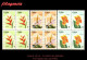 CUBA. BLOQUES DE CUATRO. 1974-16 FLORA. FLORES DE JARDÍN - Unused Stamps