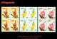 CUBA. BLOQUES DE CUATRO. 1974-16 FLORA. FLORES DE JARDÍN - Ongebruikt